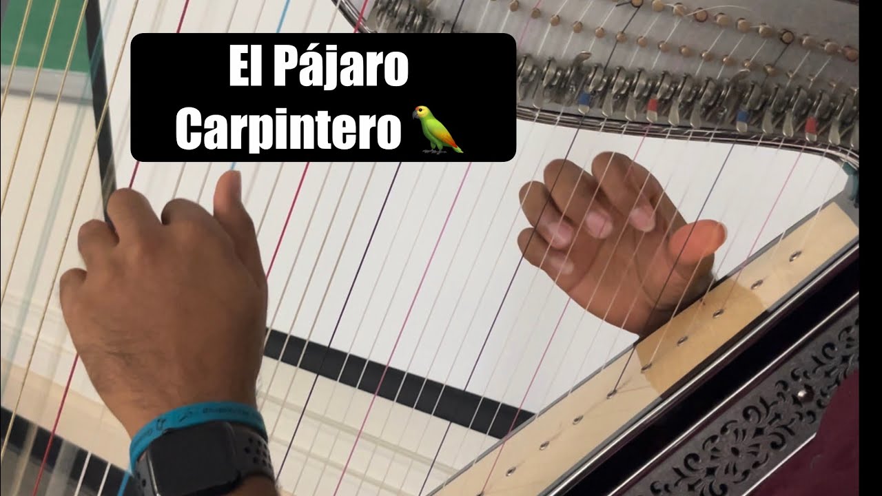 El Pájaro Carpintero Harp | Salvador Peña 2024 Guadalupe Mariachi Summer Workshop