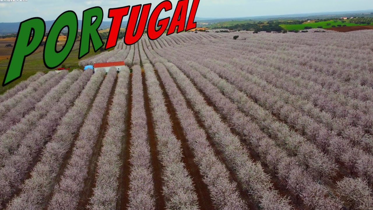 PORTUGAL