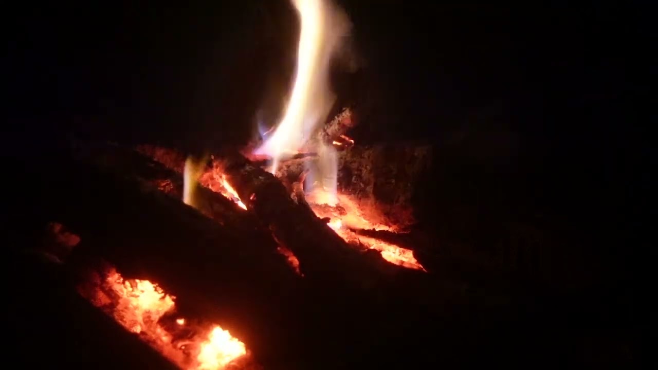 Bonfire in Japanese summer forest ; Healing and ASMR