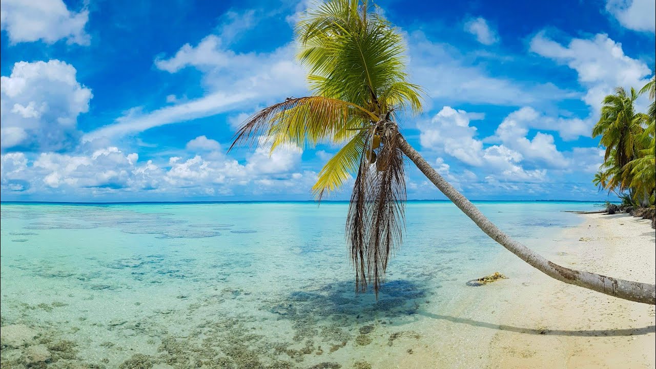 Polynesia Islands Fakarava Atoll Rotoava Tuamotu with ArAnui 5 Container Cruise Ship 🛳️ to Marquesas
