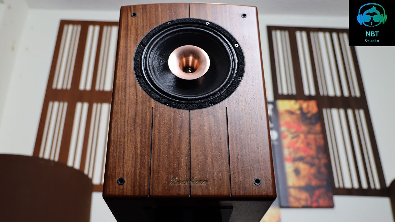 Sound Artist SC8B Speaker review ! horn horn HORN !