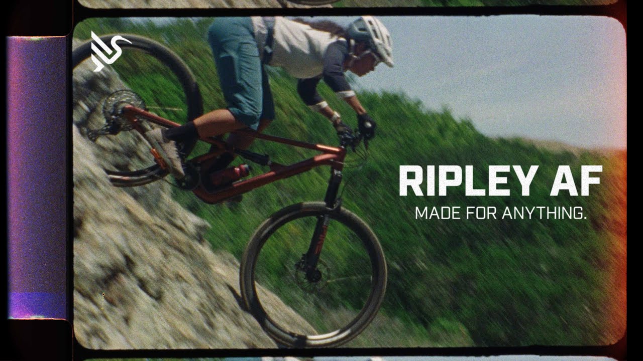 Ripley AF - Made for Anything