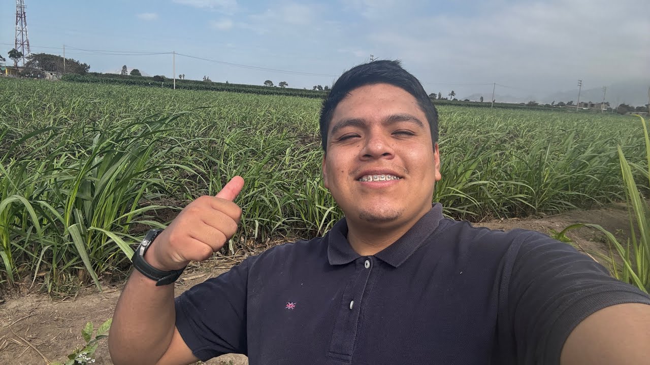 EL PRIMER BLOG DE RECONOCIMIENTO EN LA PLATAFORMA DE YOUTUBE