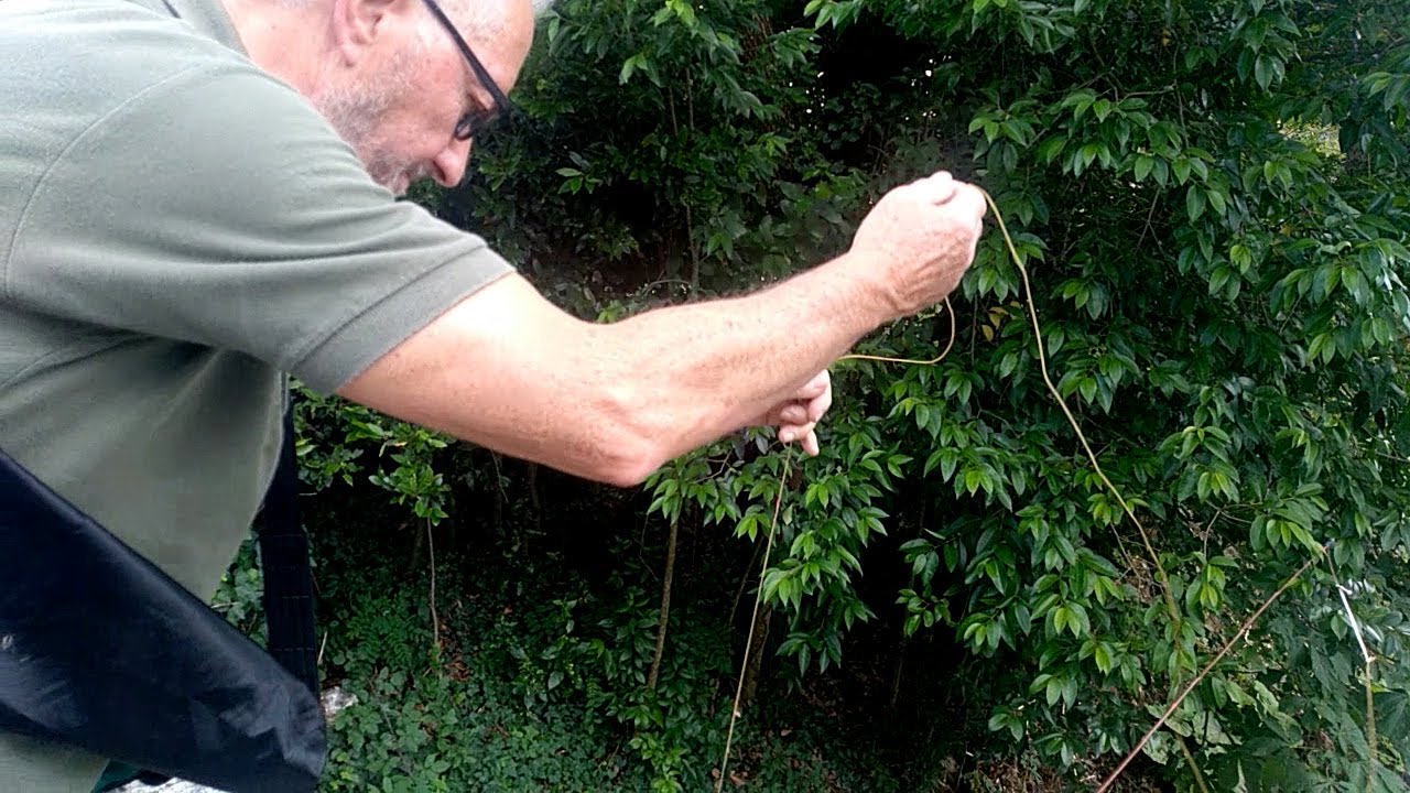 PESCARE A TENKARA: Pesca con la Camola Autocostruita [Tecnica di Pesca a Mosca Giapponese]