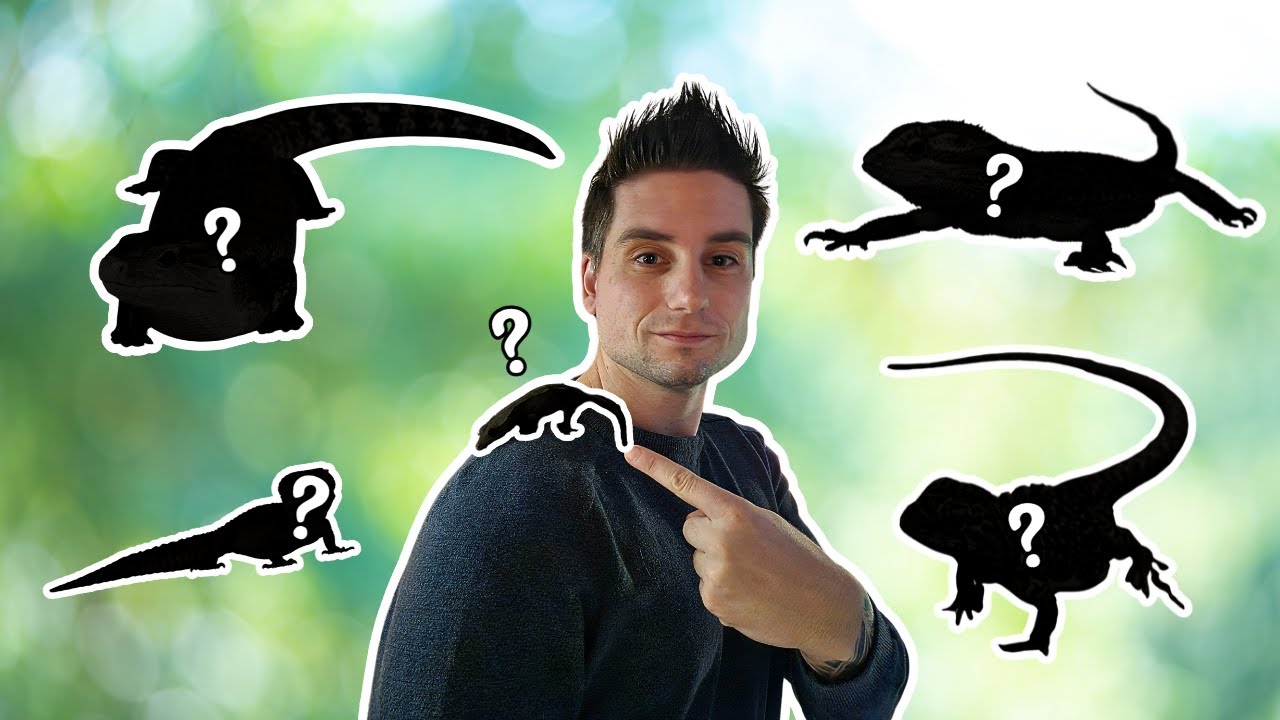 Top 5 HAGEDISSEN voor BEGINNERS! | Welke vind JIJ het LEUKST?!?