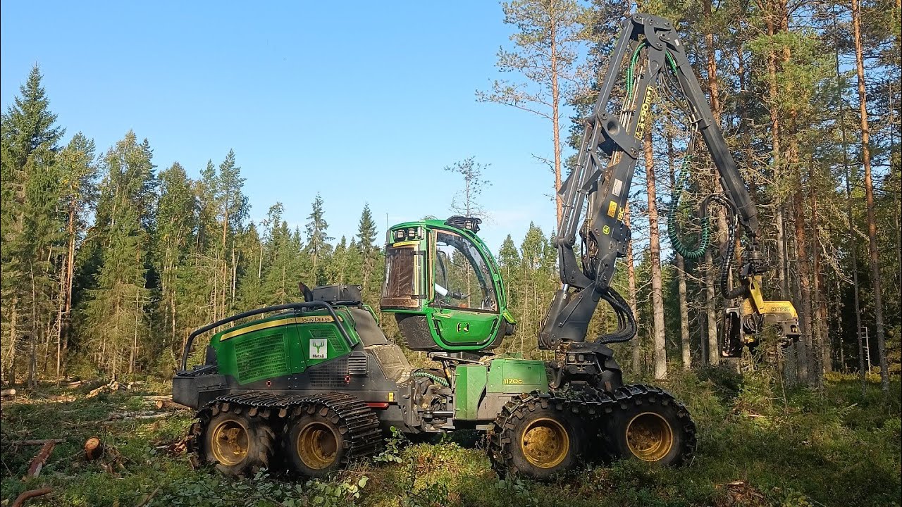 Hoitoa vaille jäänyt metsä ennen päätehakkuuta John Deere 1170G IBC H423 