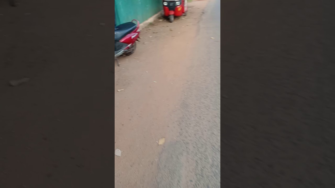 Podi sadu kenekta dunna shapphais eka.
