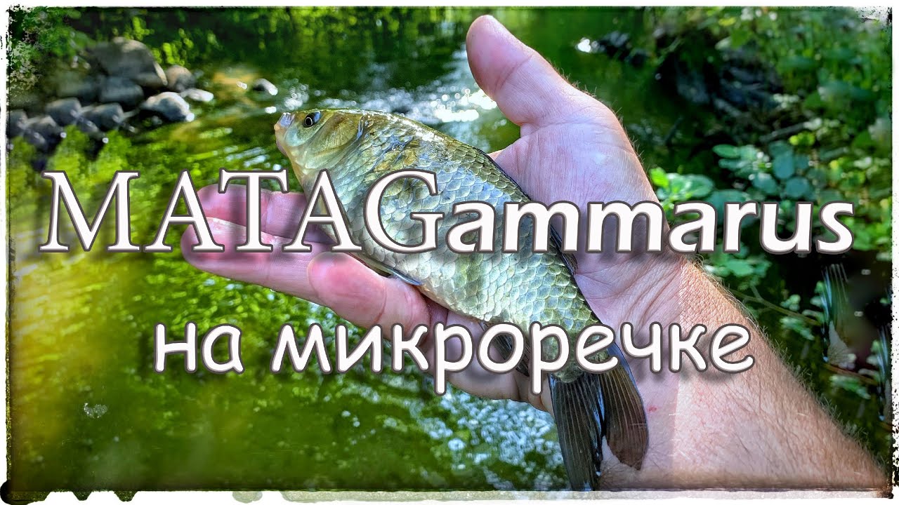 Матагамарус на микроречке