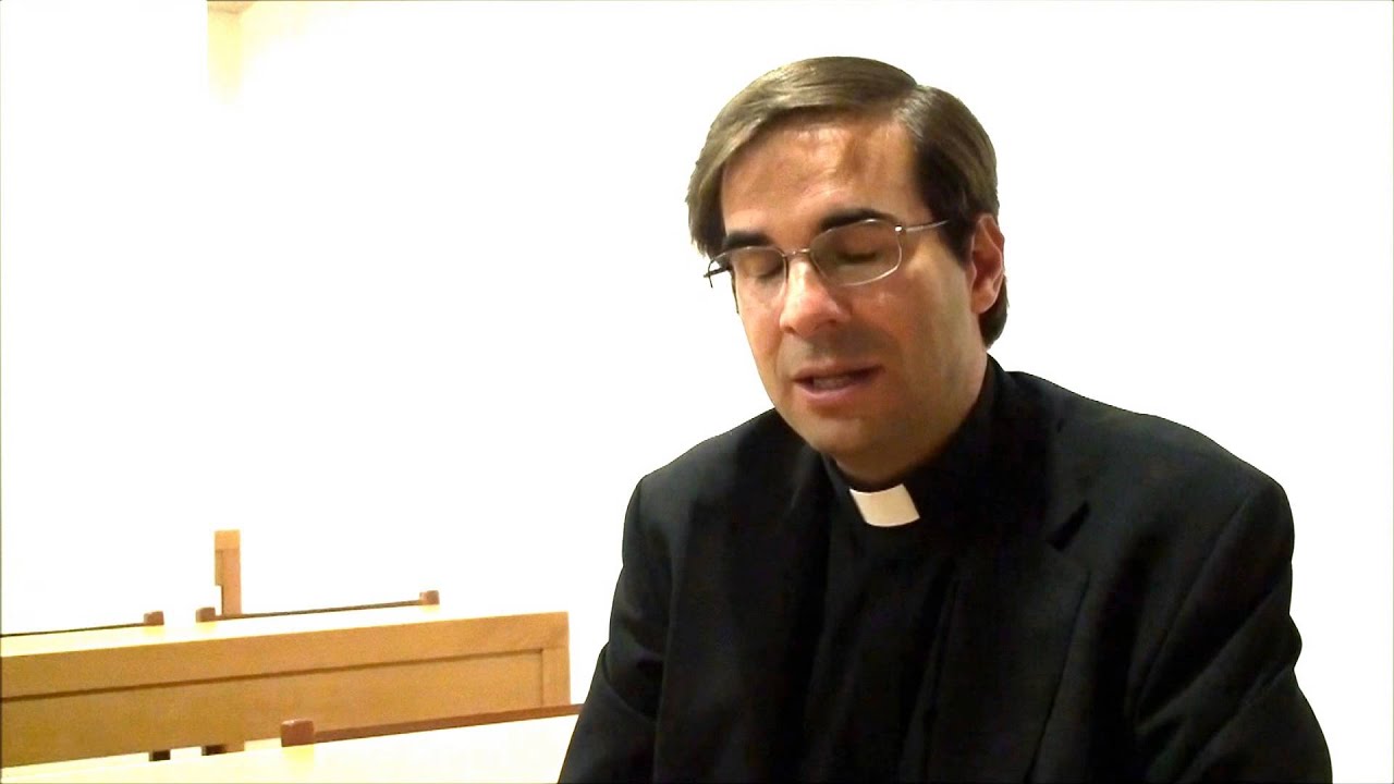 Entrevista ao P.  Miguel Cabral, MD, PhD, sobre as gravidezes de risco