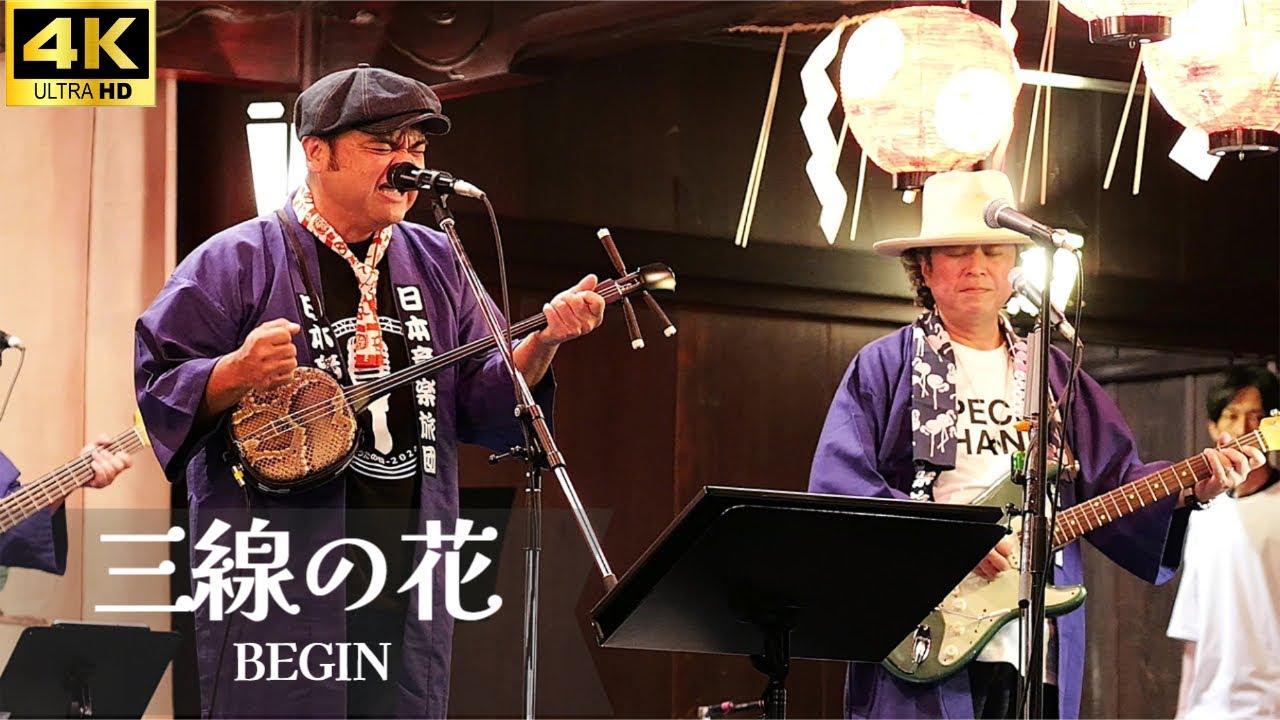 4K【LIVE】「三線の花」- BEGIN ／ 渋谷 金王八幡宮例大祭 奉納ライブ 2024 島人の宝