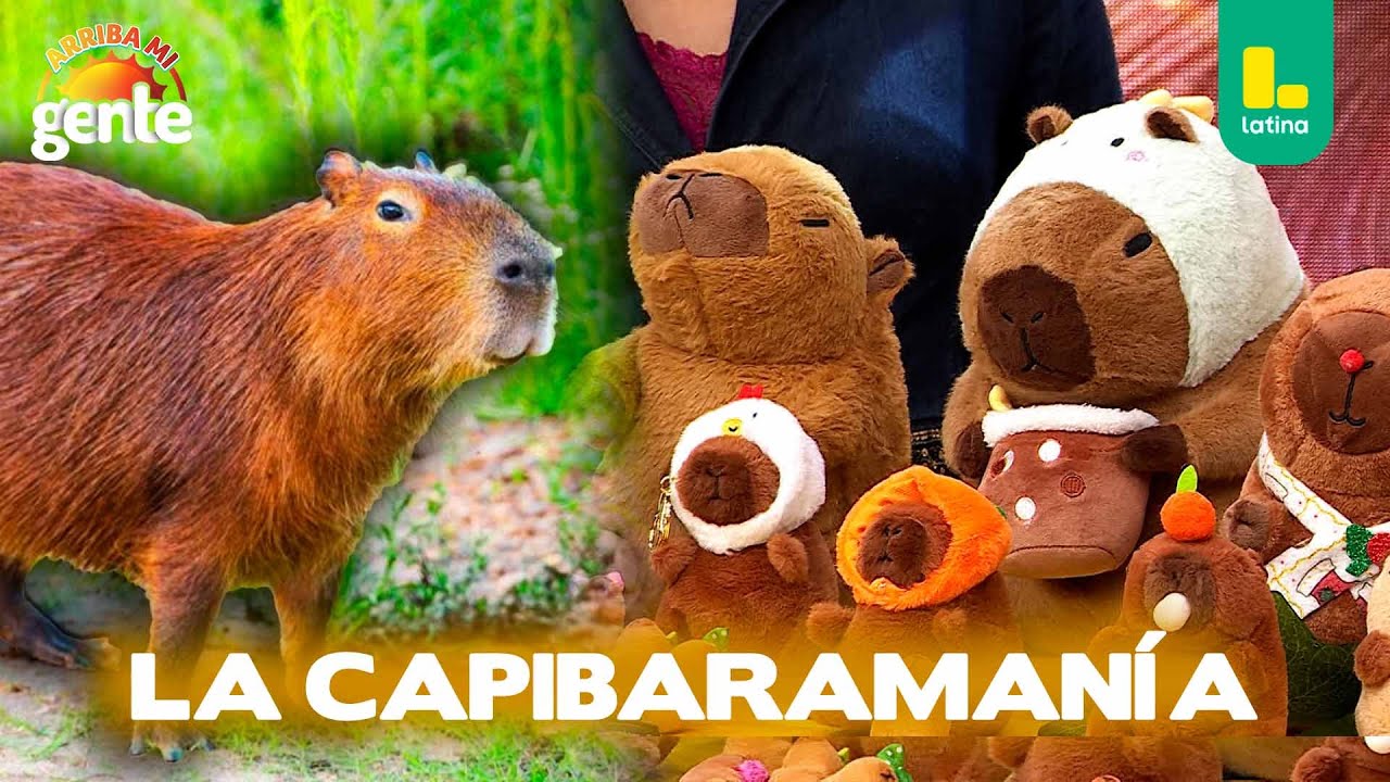 Conoce el animal más famoso y de moda este 2024 l Arriba Mi Gente