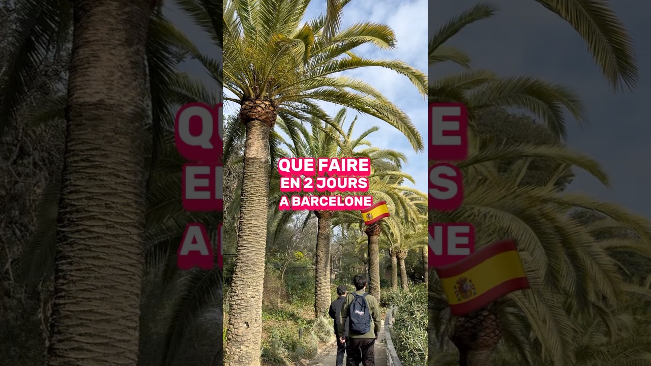 Week end &agrave; Barcelone, QUE FAIRE ? (Hotel, Activit&eacute;s&hellip;)