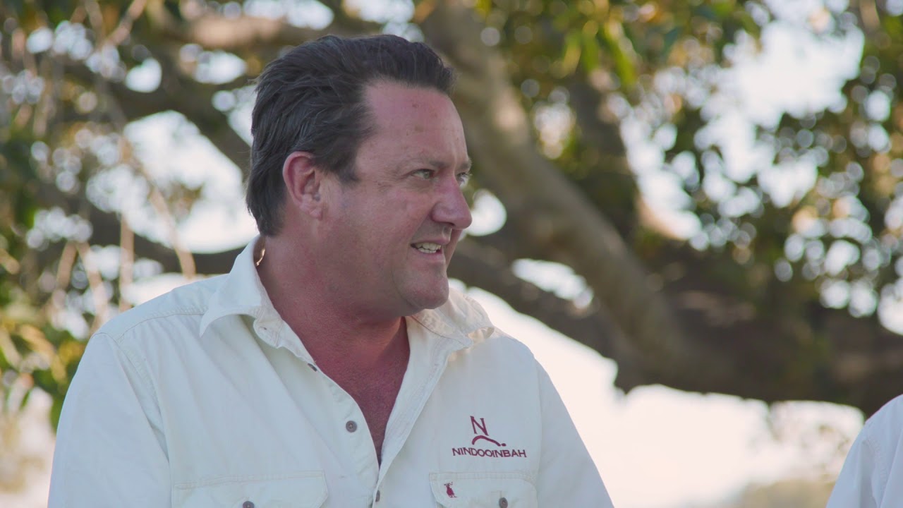 Nindooinbah: Meeting the Challenges of Beef Producers in Australia