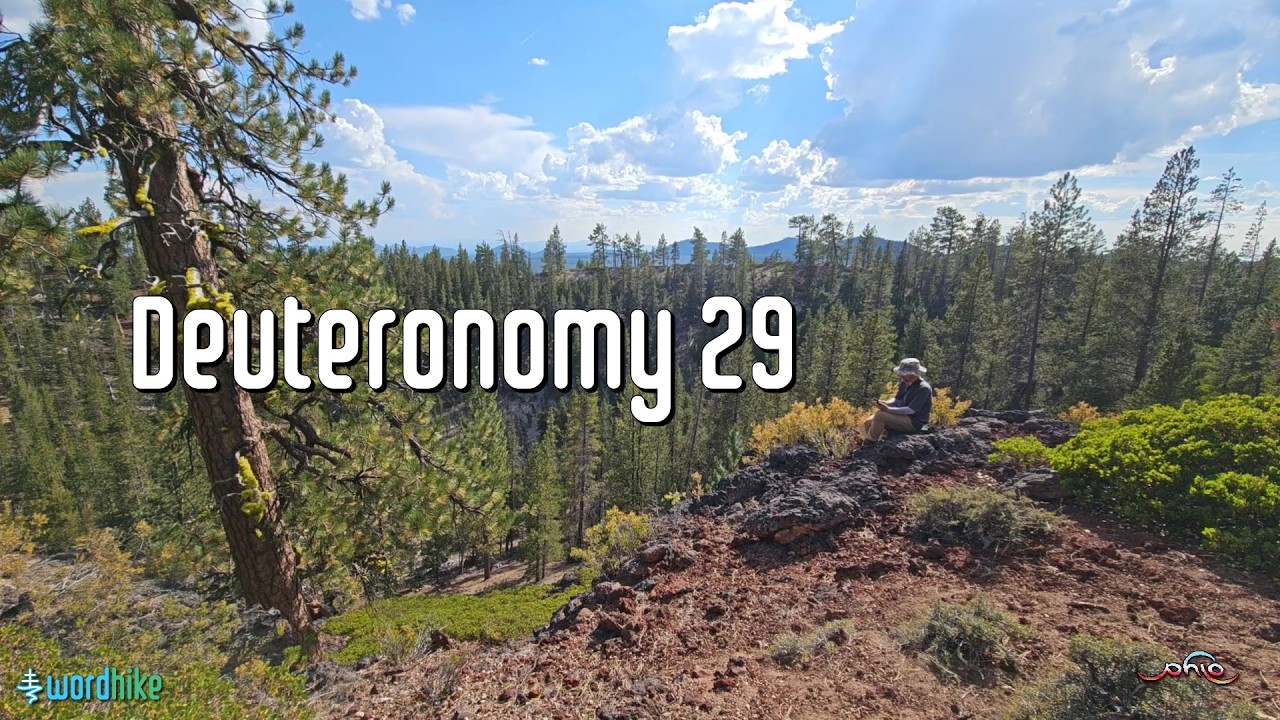 Deuteronomy 29, Bible Reading in Nature, BSB