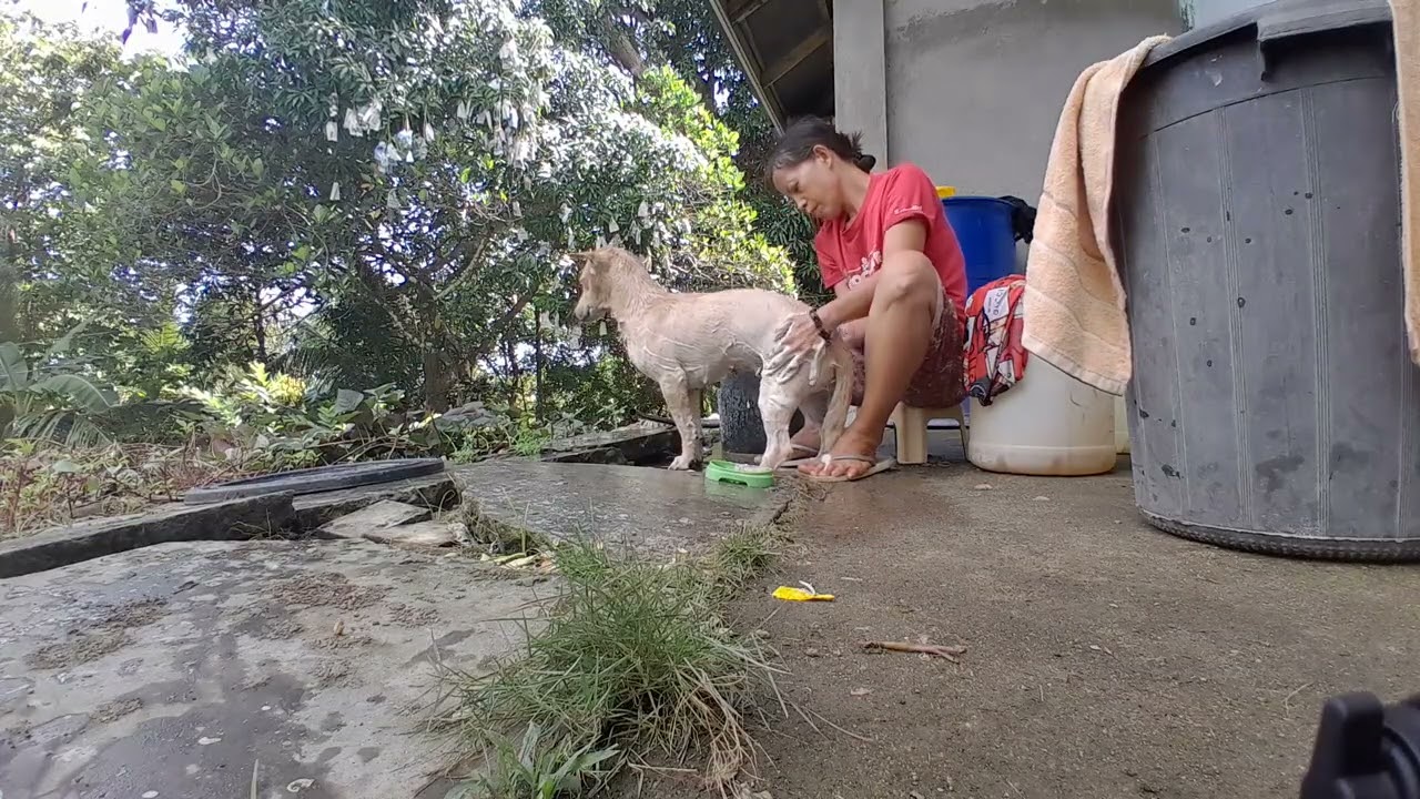 BATH TIME
