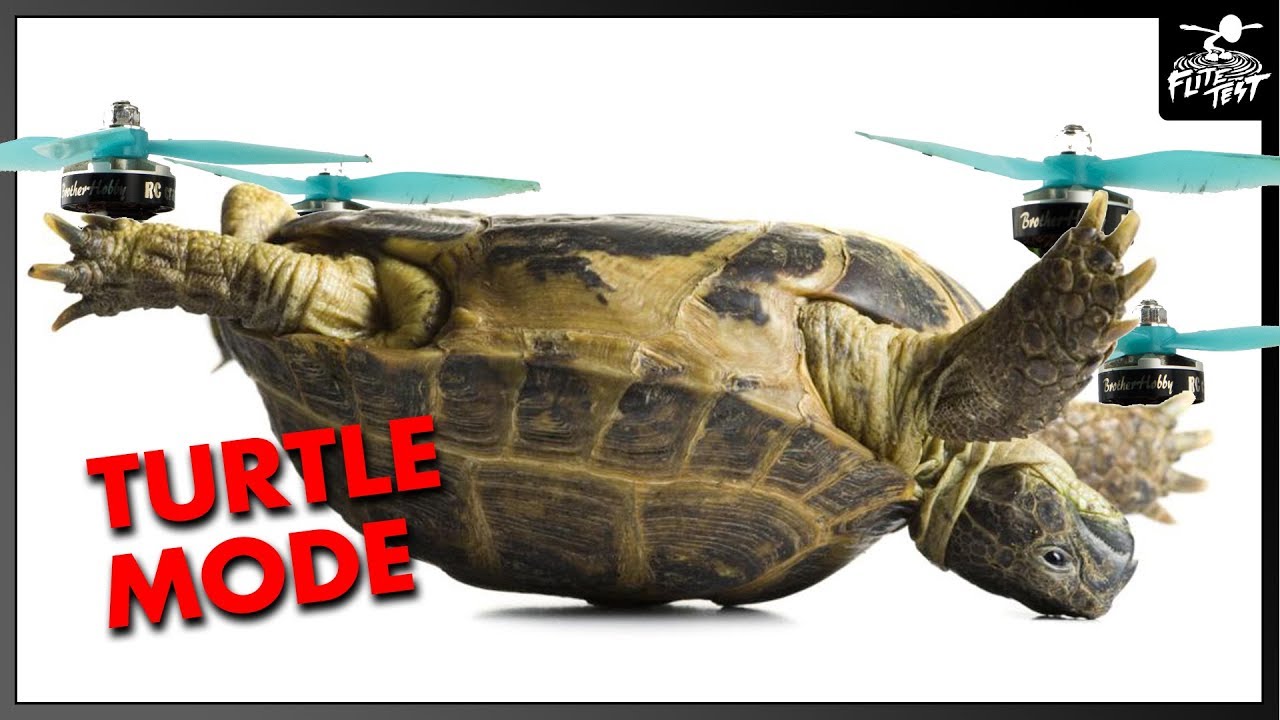 TURTLE MODE - How To Flip Over Your Quad After Crashing | FLITE TEST