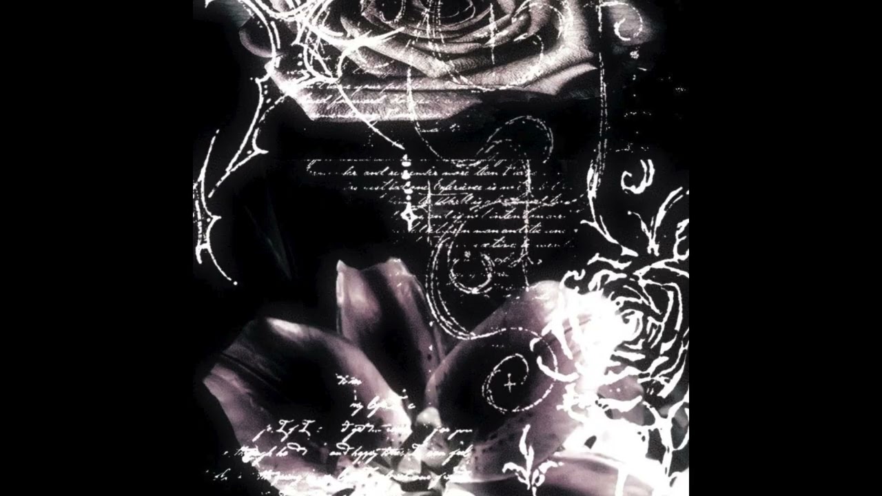 [free] che / ginseng type beat - 