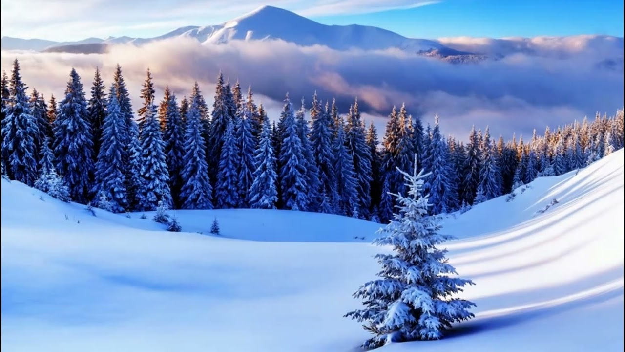 Snowy Mountains