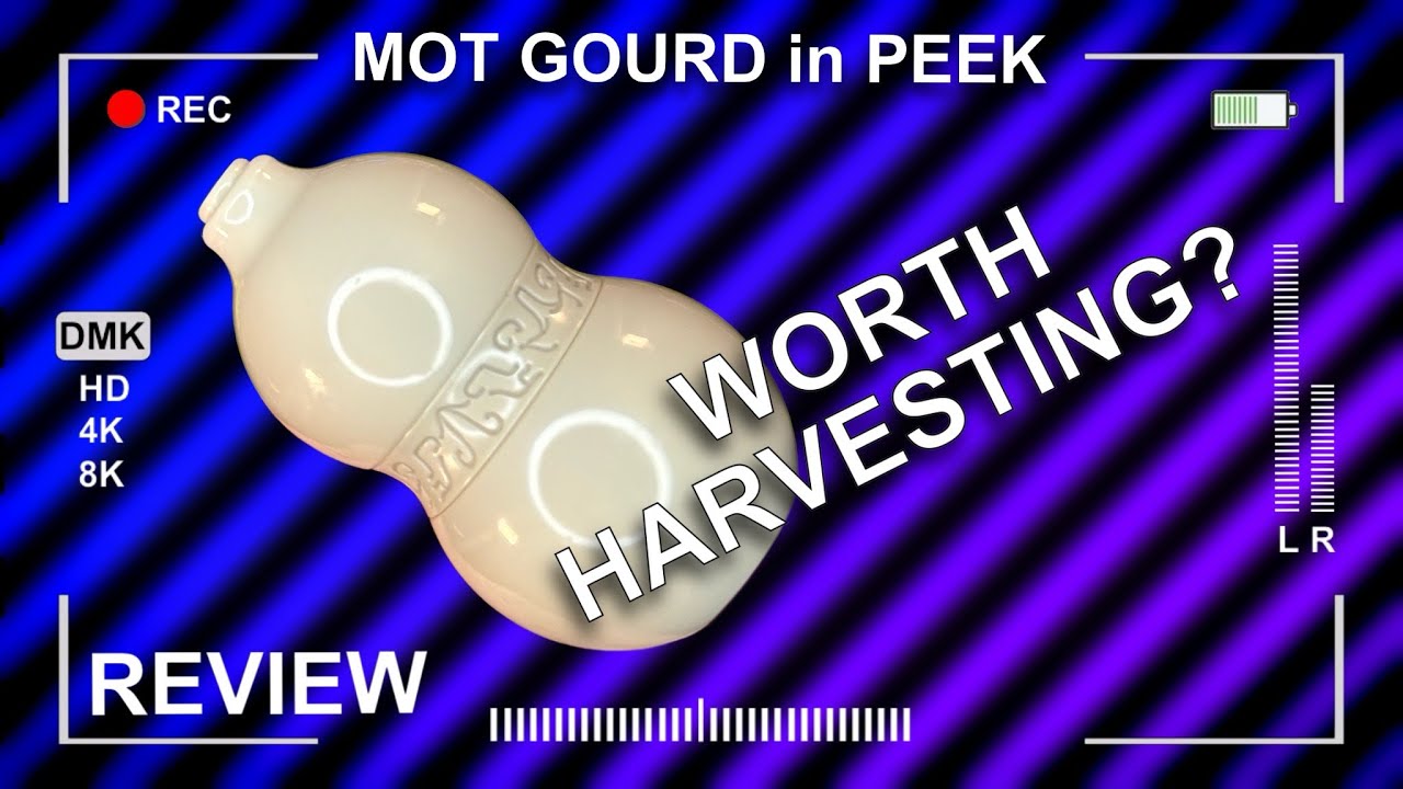 The Gourd in Peek by MOT Review