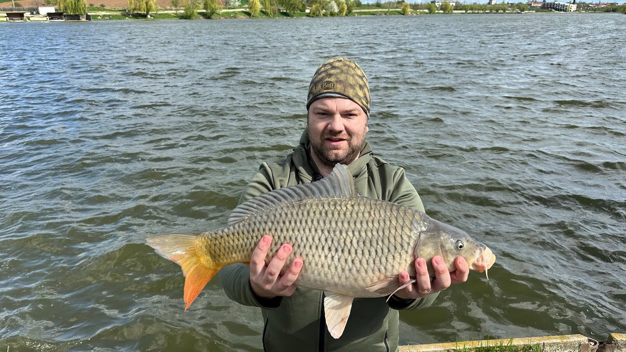 Pescuit la method pe Lacul Tancabesti 2