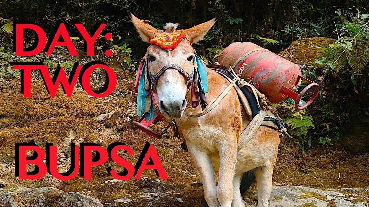 SOLO TREKKING EVEREST B.C. | Nunthala to Bupsa | 10 Hour Hike | DAY TWO