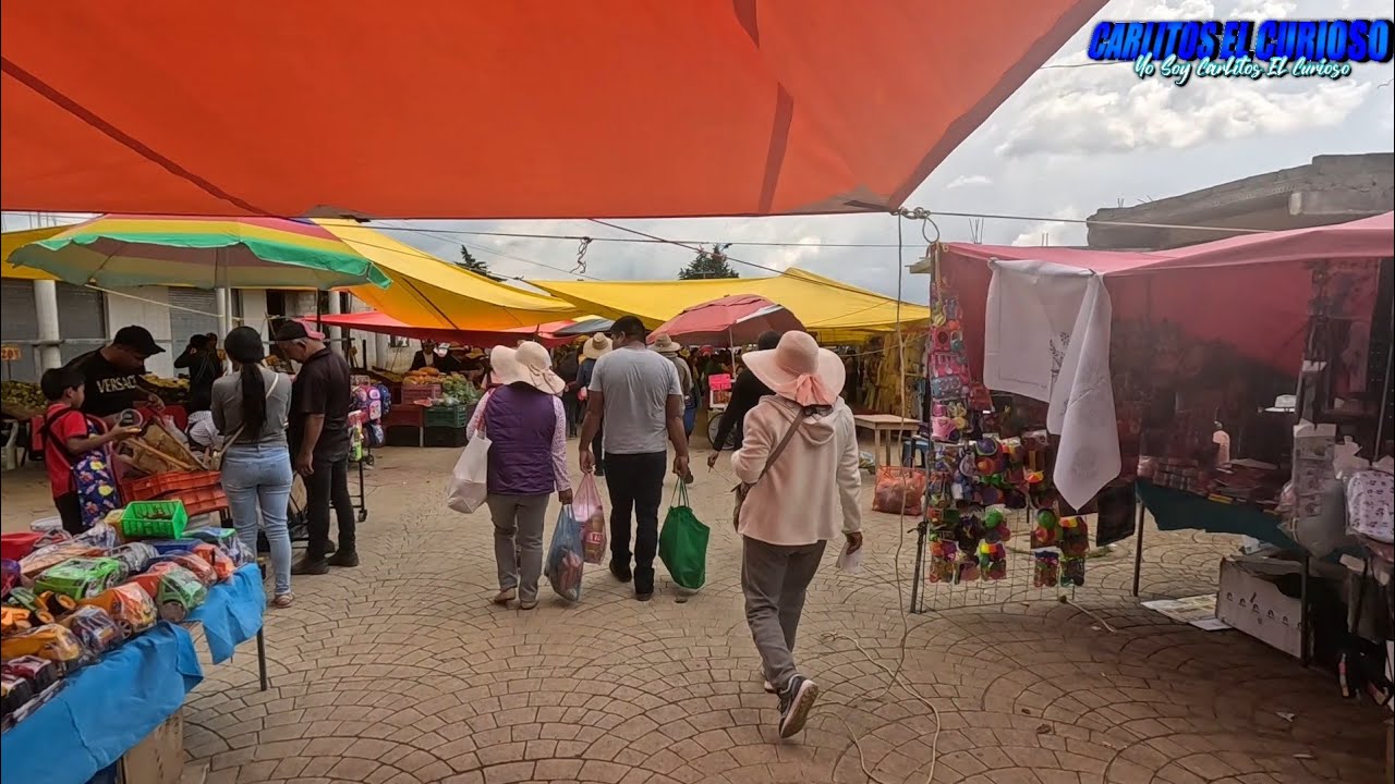 Fui otra vez al tianguis de los cedros villa victoria