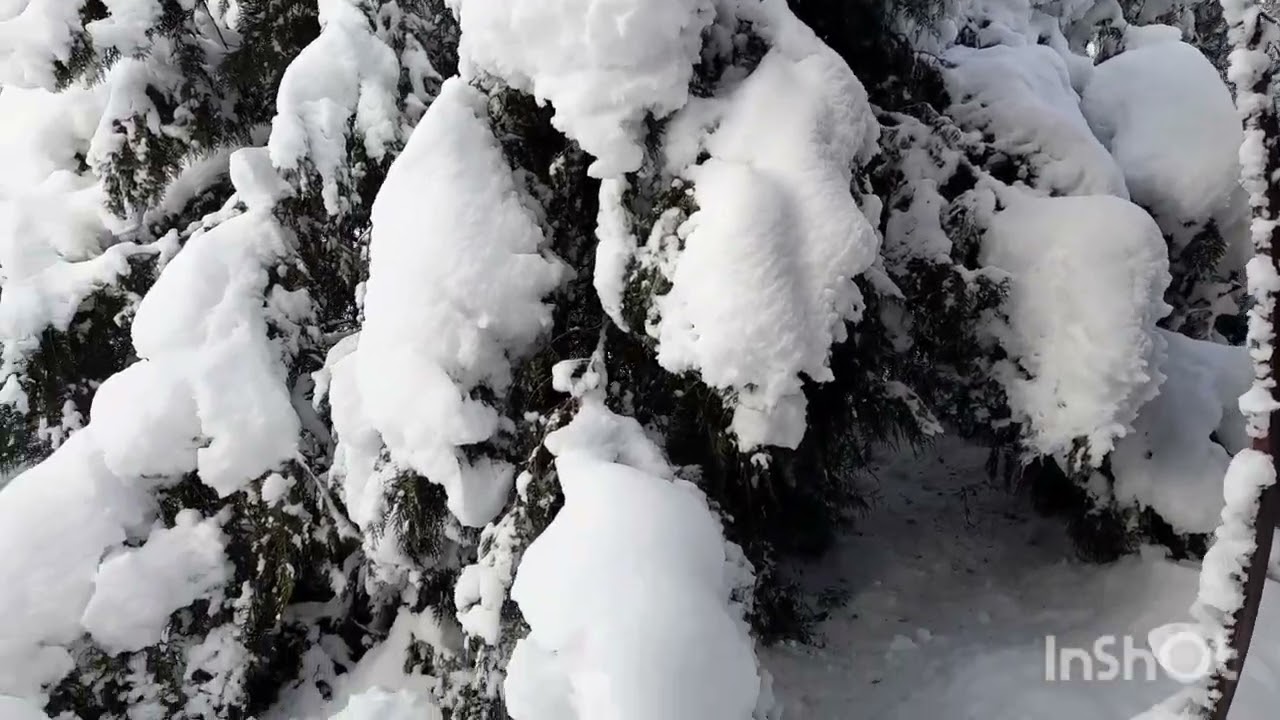 С Новым Годом, Друзья! Двое суток без света, тепла, воды, и, связи.