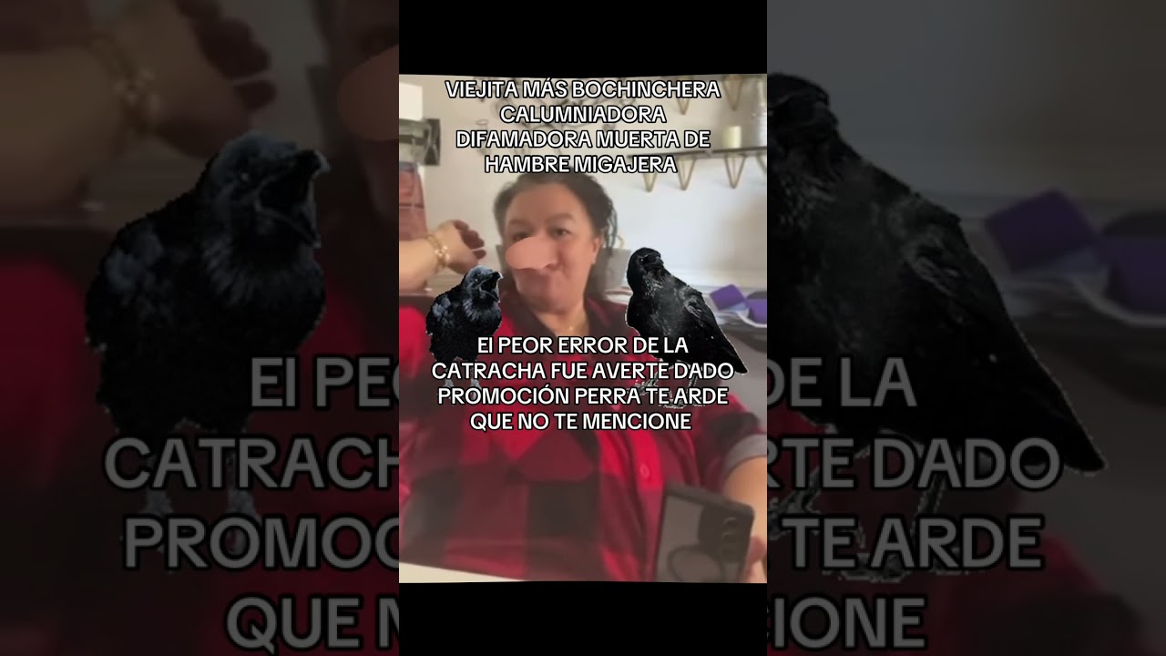 😂😂PINOCHA FRUSTADA NO DUERMES  PLANEANDO MALDAD 