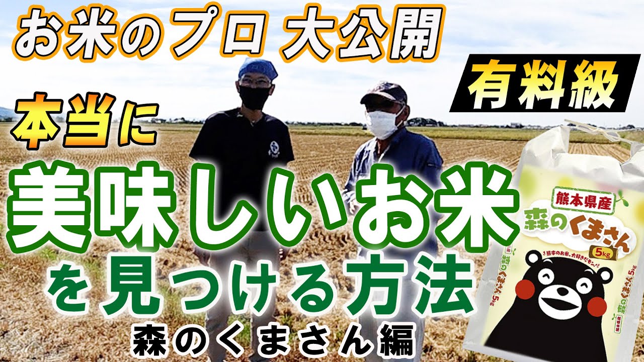 【美味しいお米  見つけ方】本当に美味しいお米の見つけ方を米専門店店主が公開します（大本商店さん作 森のくまさん編）vol.60