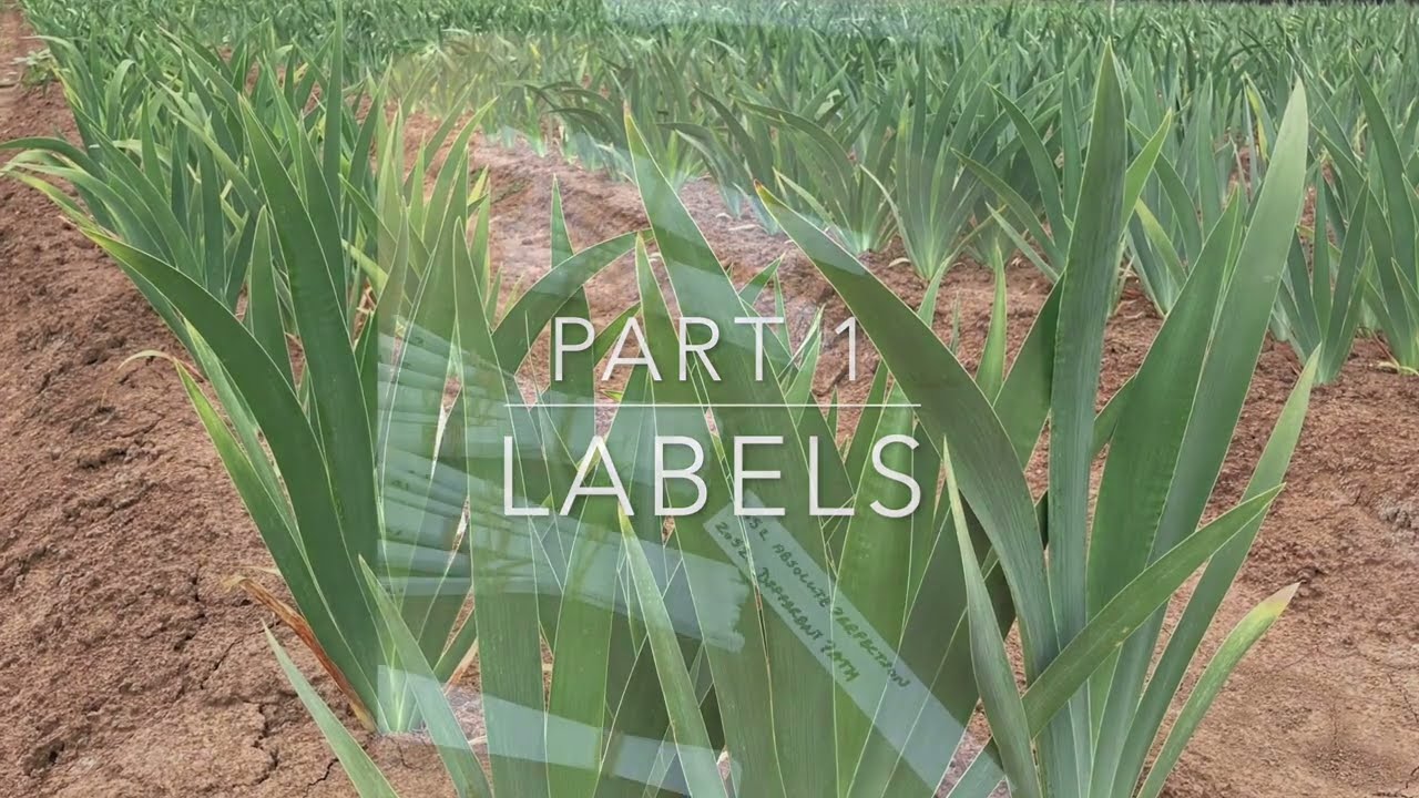 Part 1: Labels - Mid-America Garden - From Our Field To Your Garden