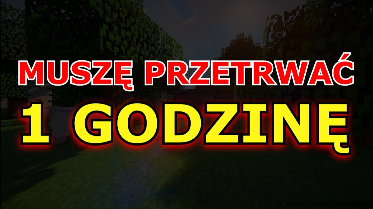 MUSZĘ PRZETRWAĆ GODZINĘ