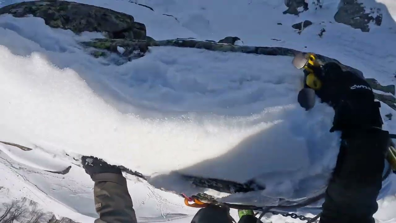 Dente della vecchia invernale