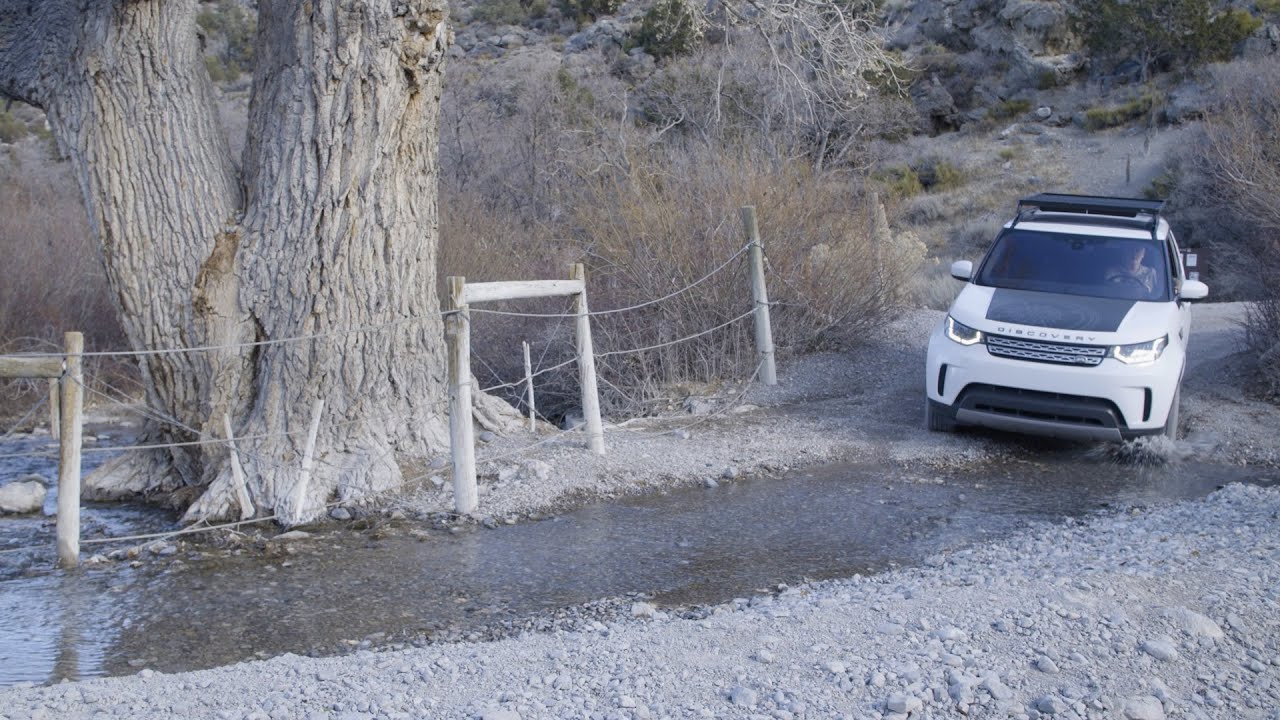 Spring Mountains Wildlife, Desert Handcycling, and Fishing at Lake Mead | Outdoor Nevada