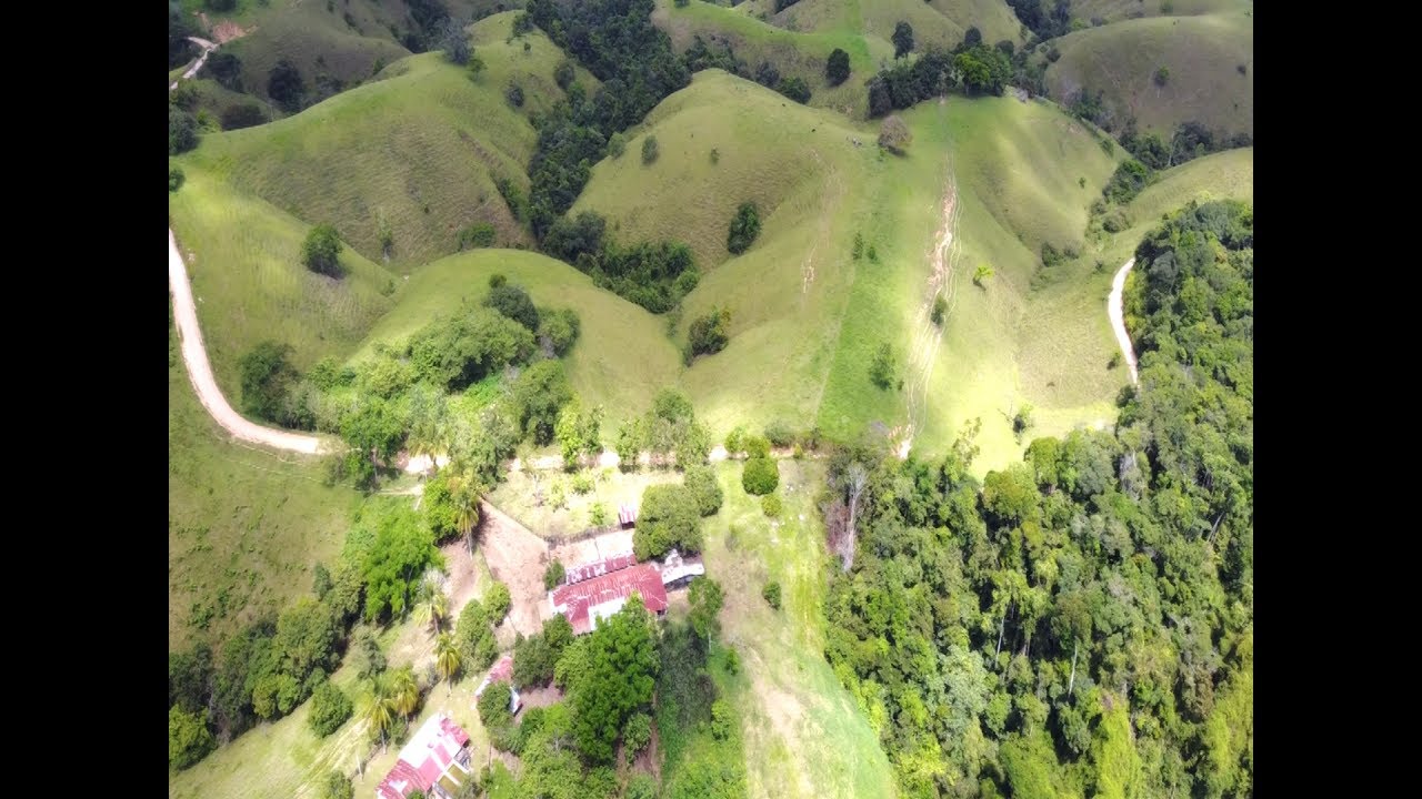 [FINCA EN VENTA] Hacienda en Puerto Nare - Antioquia enfocada a ganado y producción lechera