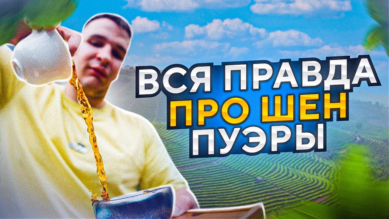 Вся правда про китайский чай ШЕН ПУЭР | старые и молодые | ЭФФЕКТ шен пуэра | как заваривать...