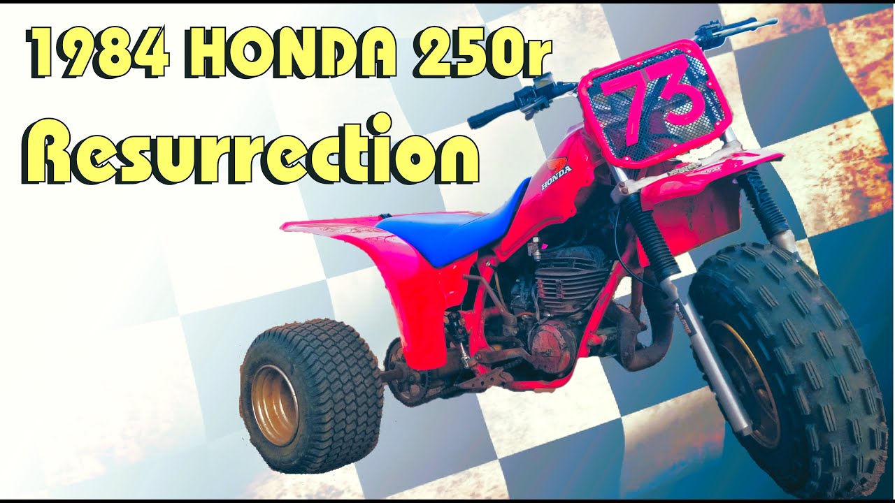 BUILD Your Dream Vintage 250r 3 Wheeler Without Breaking the Bank!