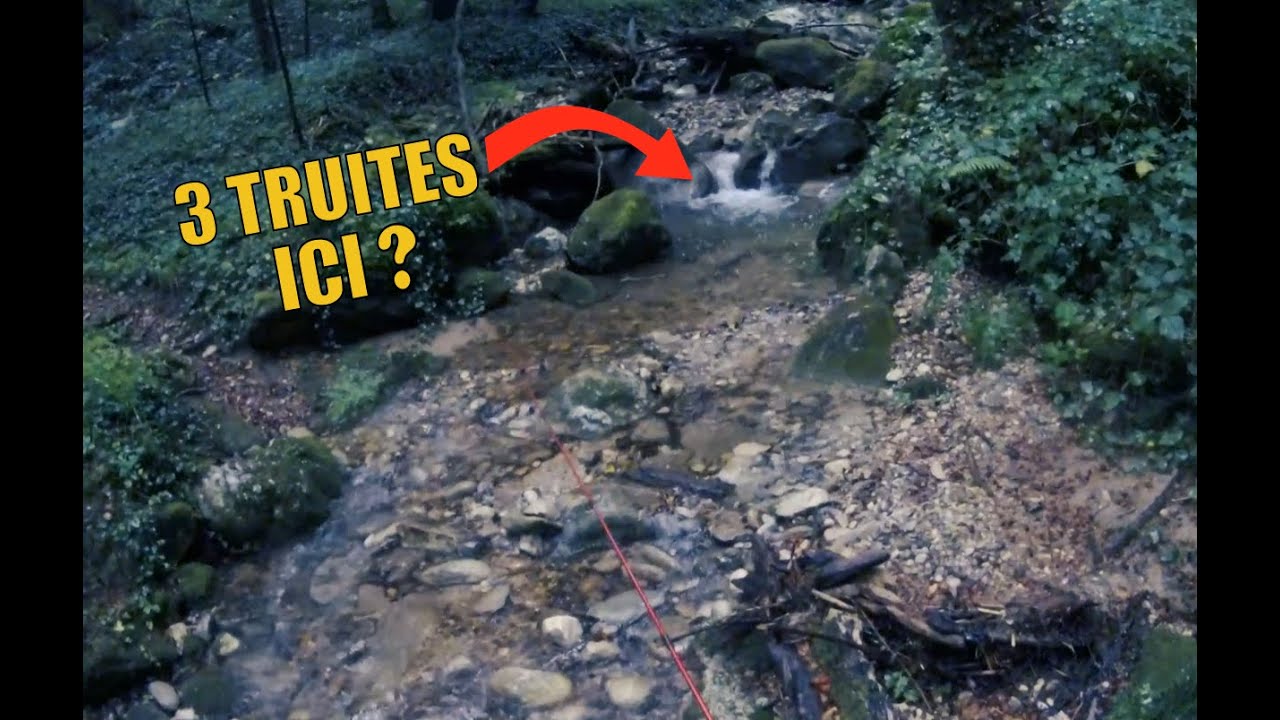 PÊCHE DE LA TRUITE à la CUILLERE : une session proche de la P E R F E C T I O N !