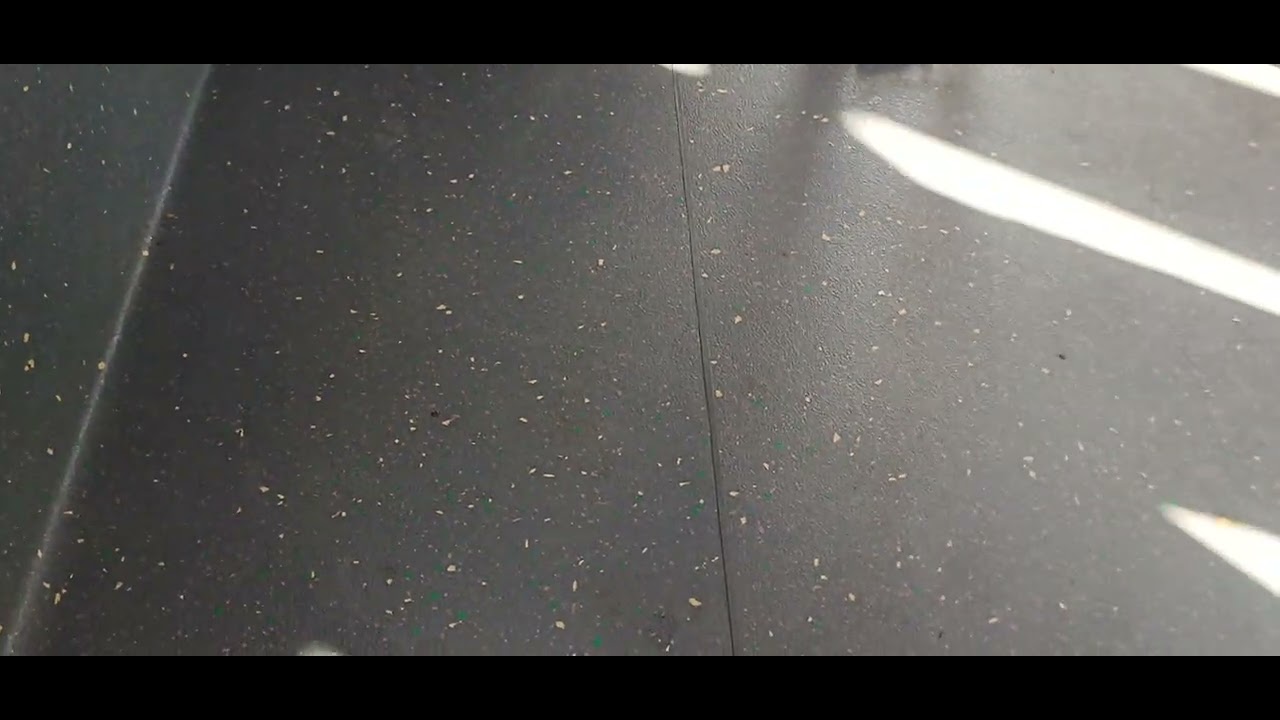 קטע נסיעה באוטובוס חשמלי הייגר קו 71 234-35-502 בתל אביב בכיוון צפון עם הכרזות