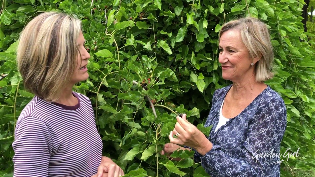 Garden Girl - Trish and Andy's Pride and Joy!