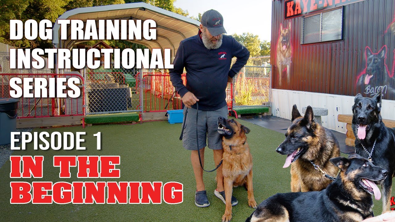 Ep. 1- David Kaye's Kaye-Nine Dog Training Free Instructional Series- In The Beginning