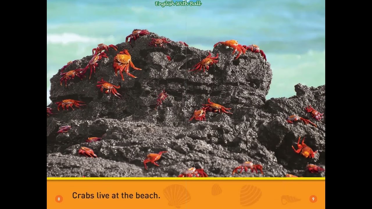National Geographic Readers: At the Beach