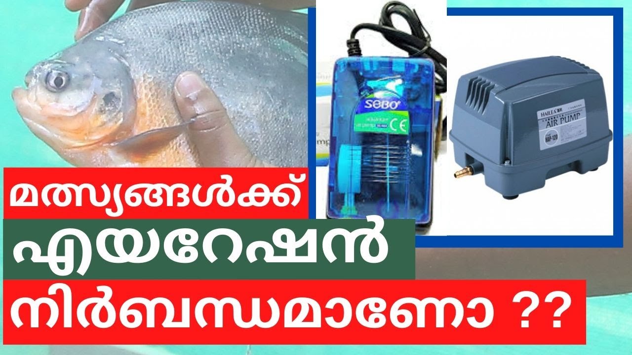 Air Pump for Fish Farming in Malayalam 2020 | മൽസ്യ കൃഷിക്ക് എയറേഷൻ | Fish Pond Aeration