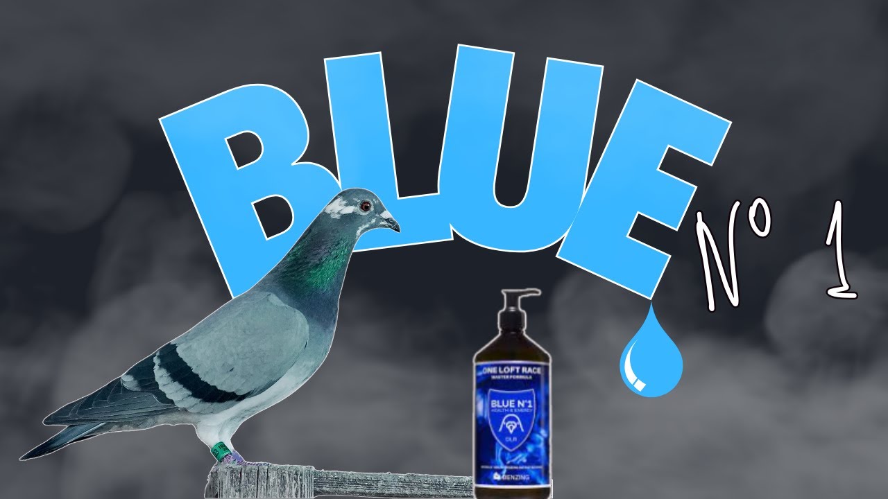 BLUE N&ordm; 1 🦋 TE DA ALAS 🦋   &iquest;EL PRODUCTO PERFECTO???‼️🤔