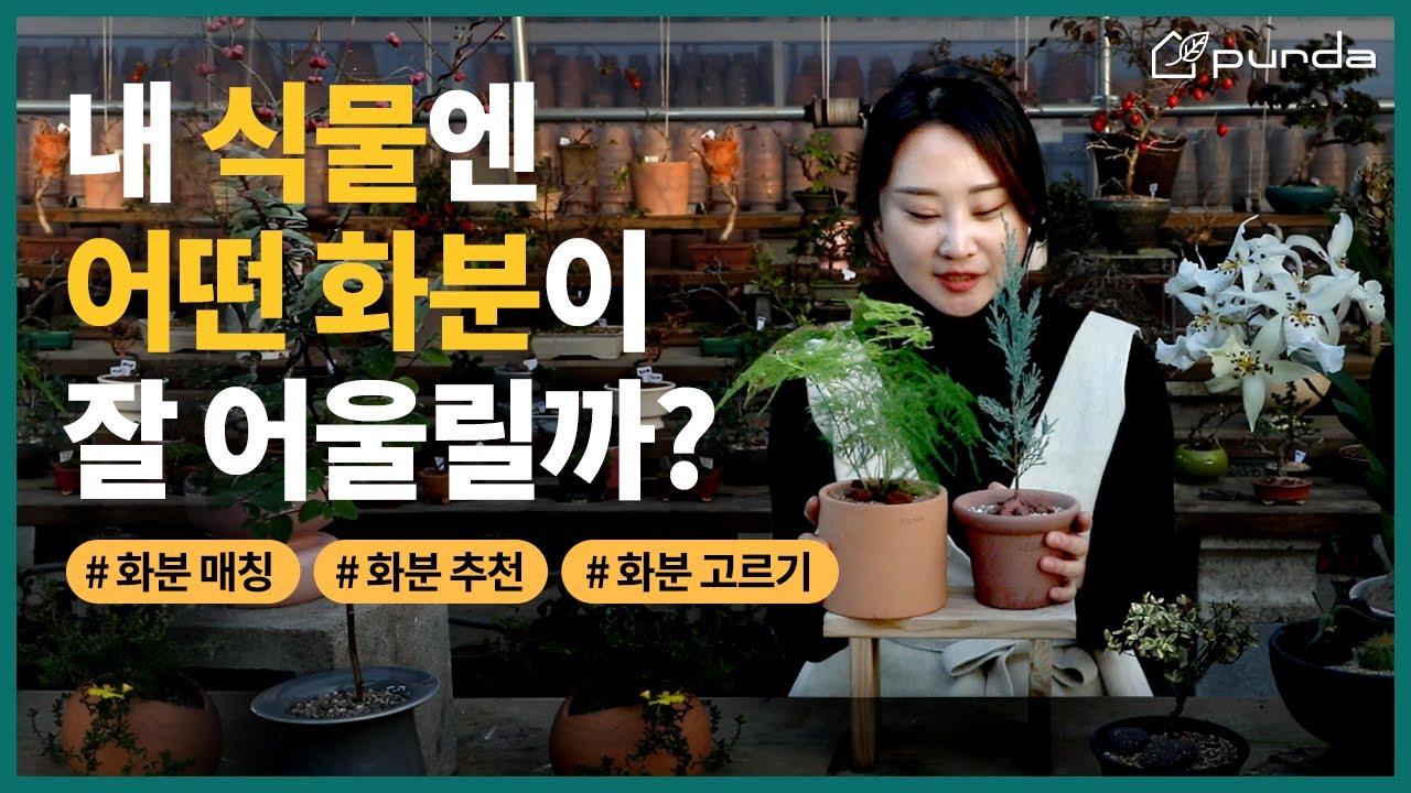 🎈수제토분🎈식물 수형에 따라 예쁜 화분고르기 팁 대방출