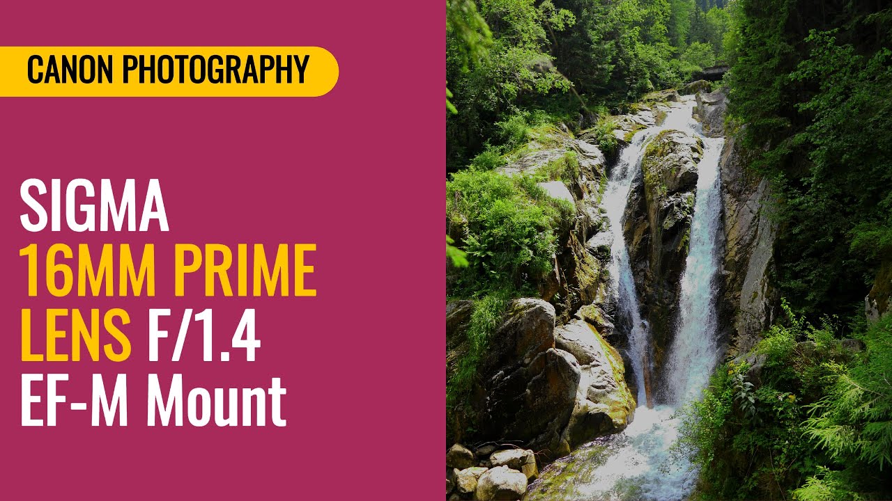 Sigma 16mm Prime Lens | Canon M50 Mark II | Part3