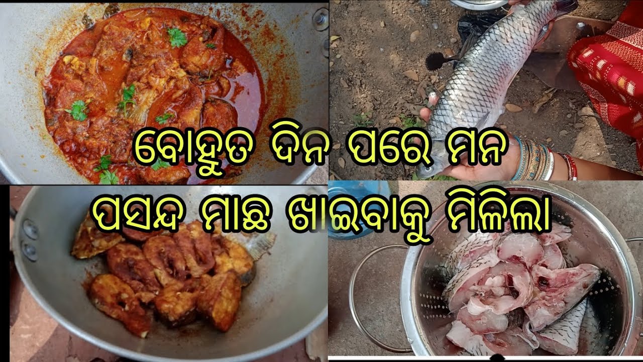 ପୋଖରୀ ମାଛ ଖାଇବାକୁ ବୋହୁତ tasty 😋 ଲାଗେ।।