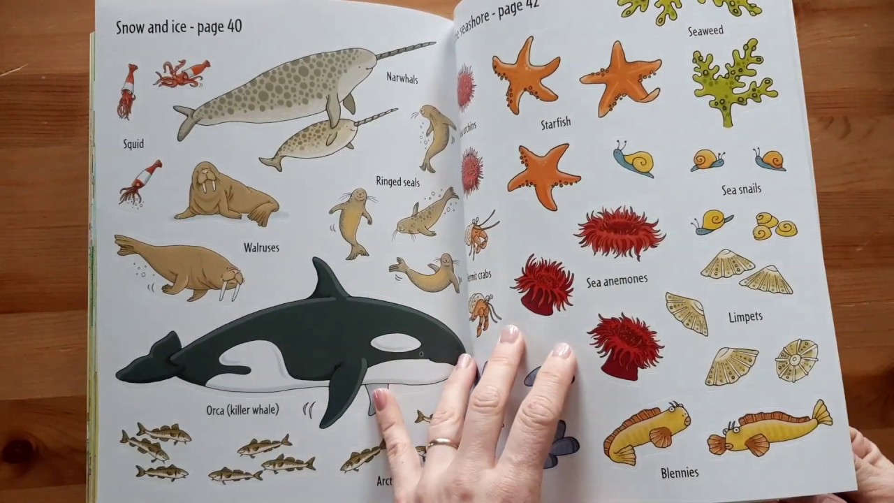 Big Sticker Book of Animals - Usborne