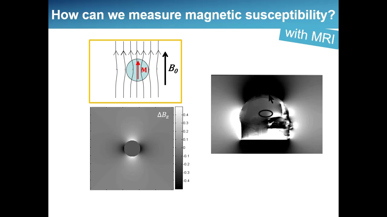 ISMRM MR Academy - Magnetic Susceptibility in Tissue: What It Is & How to Measure