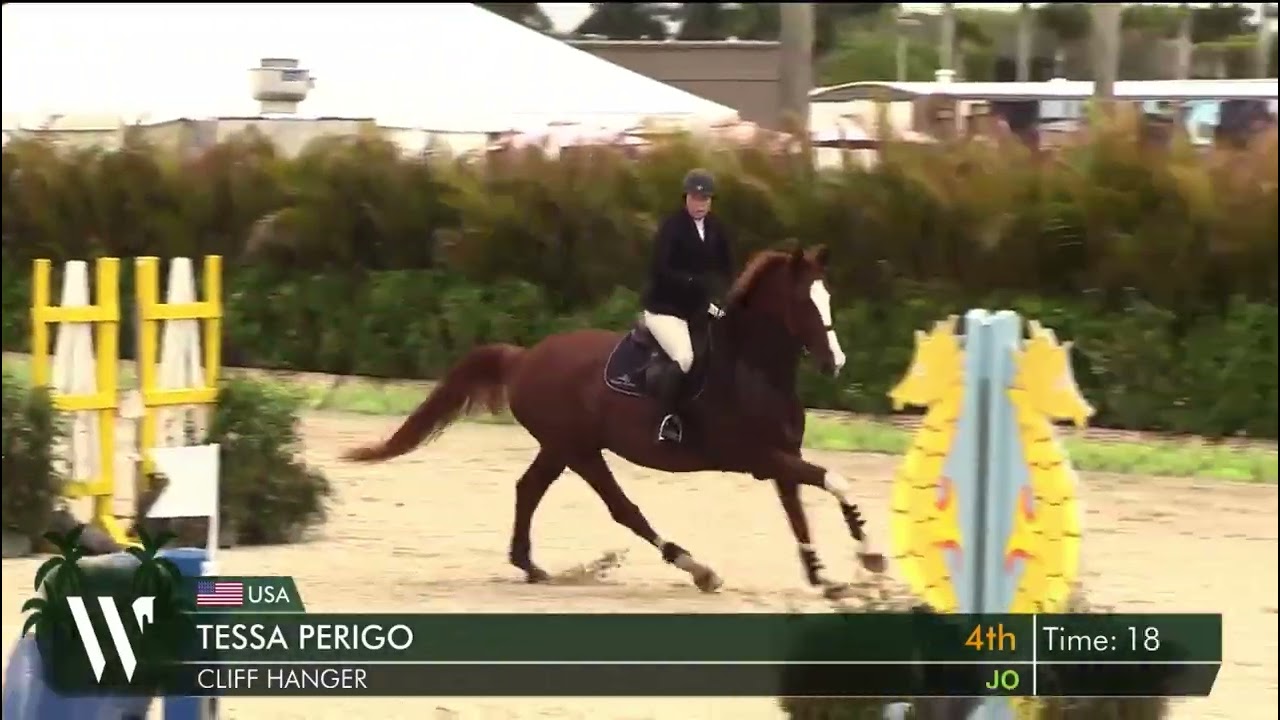 WEF 8–1.00m 18-35– Tessa Perigo—Cliffhanger—2/28/26- 3rd place—Jumpoff