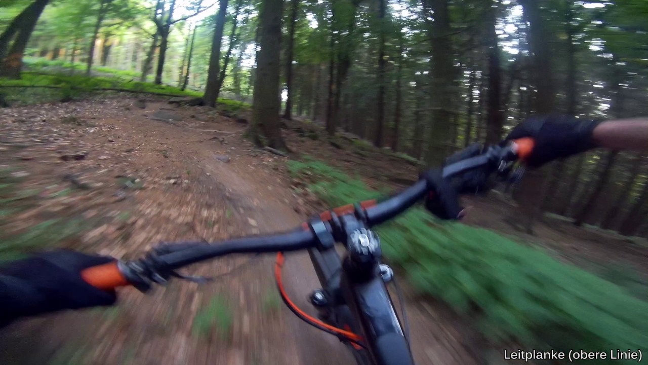 Let's Ride MTB - Heidelberg // Königstuhl - Wurzeltrail und Endurotrail an der Leitplanke 22.06.2017